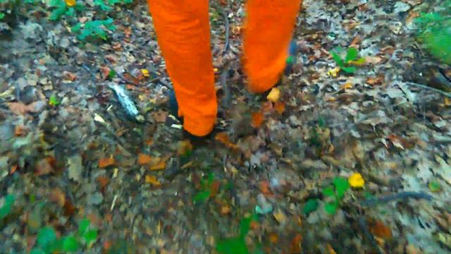 Володимир Топій - Вступ до лекції смотреть онлайн