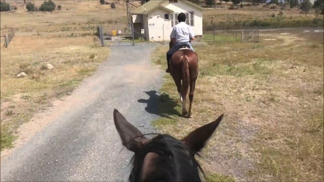 Bob Leech August 7 2019 Draft 5 with fewer captions смотреть онлайн