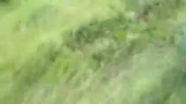 Ledda97 смотреть онлайн