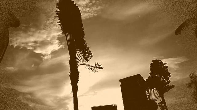Raffles's Statue in Singapore (Sepia) смотреть онлайн