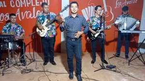 Los Hermanos Avalos(Show En Vivo)