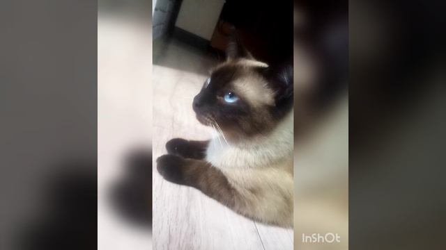 Яшка