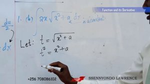 Integration2 (function and its derivative)