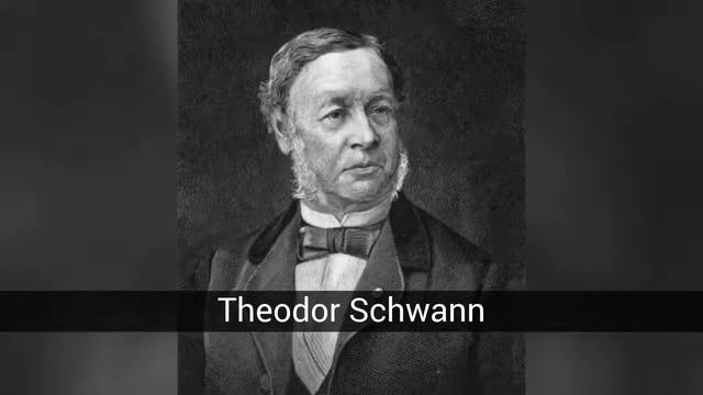 वैज्ञानिकहरू र आफ्नो योगदान जीव смотреть онлайн