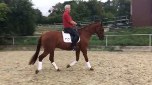 Lutz Eckert, Para Equestrian, Reiten mit Handicap bzw. mit Behinderung