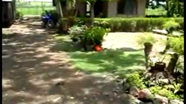 Please Don't Stop Remembering By Randy Edelman Lyrics смотреть онлайн