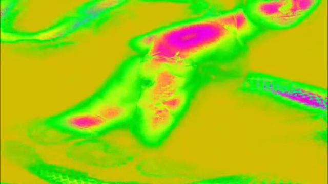 Thomas Dekker and his lovers - My Clip Psy Trance 1 by GD смотреть онлайн