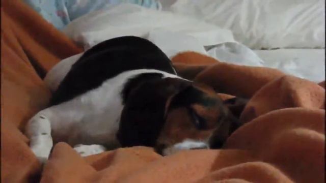 Belle смотреть онлайн