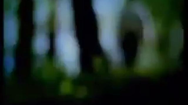 Allende смотреть онлайн