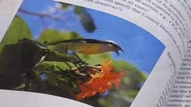 Conservation Law Consultation Report смотреть онлайн