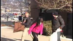 Willow Park Pillow Fight