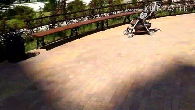 Идём на Губернский | VLOG #2 смотреть онлайн