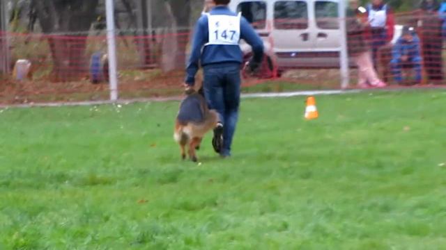 Рус Брискази Император