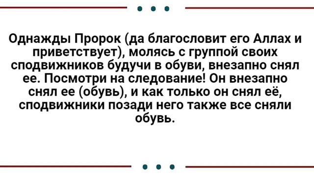 Бадр Утайби - как сподвижники следовали за пророком صلى الله عليه وسلم смотреть онлайн