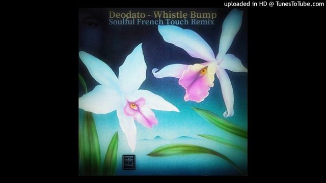 Deodato - Whistle Bump - Soulful French Touch Remix смотреть онлайн