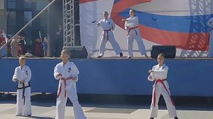 Тхеквондо мастерские удары. Очень изящно разбили все деревяшки.