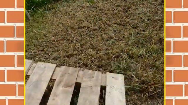 ¿Cómo fabricar una sala de ordeño caprina? смотреть онлайн