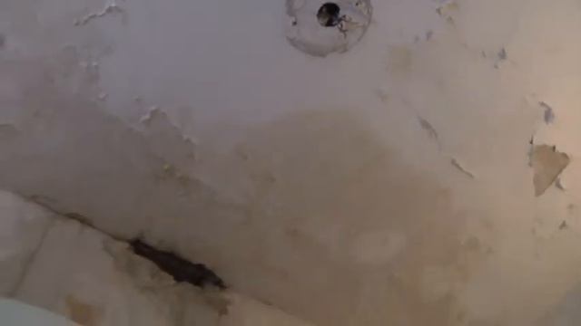 San Giorgio di Acilia via Domenico Morelli: piove nelle palazzine comunali