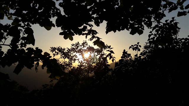 Sonata K146 - D.Scarlatti (1685/1757) - Franco Pacini - chitarra смотреть онлайн