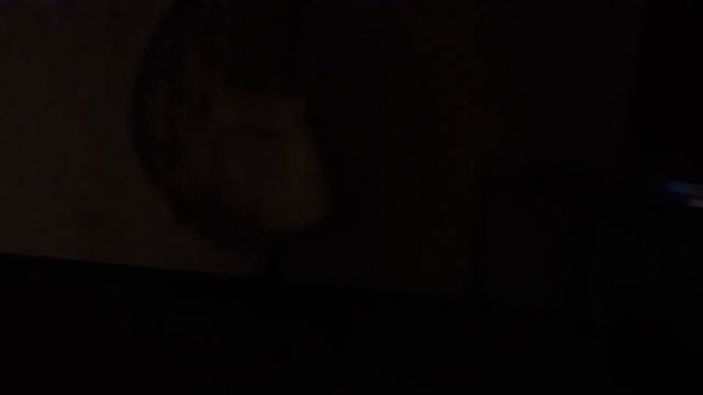 sam berens смотреть онлайн