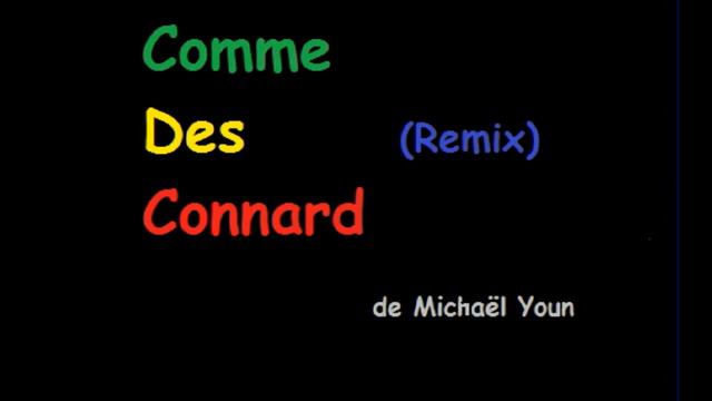 Michaël Youn - COMME DES CONNARDS remix