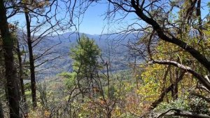 Appalachian Trail Section Hiking 19E to Dennis Cove Road Day 3 of 3 - Wings with Aquamarine 10/18/2