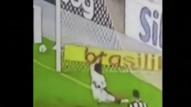 Dossiê VAR VS BOTAFOGO - CAMPEONATO BRASILEIRO