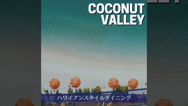 Aloha to You смотреть онлайн