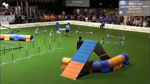 Roland Ammy Agility Individual смотреть онлайн
