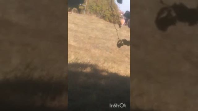 Куликово поле 5 часть смотреть онлайн