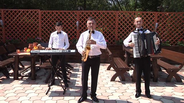 SORIN CONSTANTIN - Ardelene sarbesti