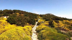 Isola d'Elba - Il Troppolo in Fiore