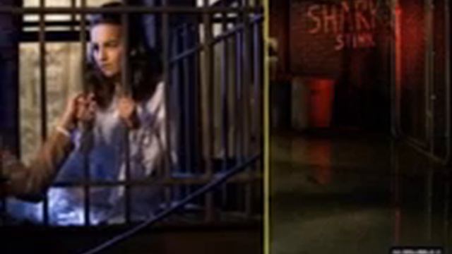 Camilla Belle Brazilian Tribute смотреть онлайн