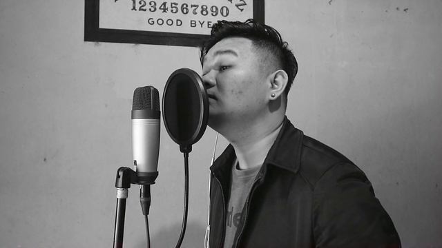 FINNEAS - Break My Heart Again (Cover By Bona Ventura)