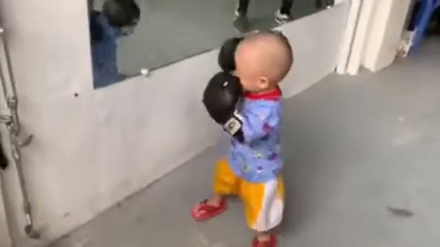 Future world champion | Baby boxing | Arlan Lerio lll | Part 2 смотреть онлайн