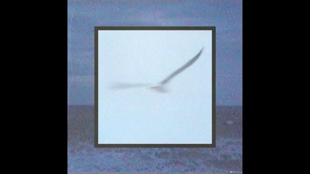 Aaberg - Rat смотреть онлайн