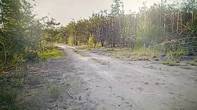 Охота с Петром Селивончиком Михаил Петров смотреть онлайн