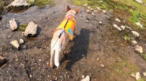 Smith Creek Pass - Bob Marshall Wilderness Part II July 2021