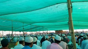 Jalsaনলেজ সিটির পীরজাদা আব্বাস সিদ্দিকী Falah media, abbas siddiqui waz, Abbas siddique waz, Md abb