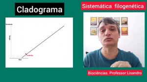 Sistemática filogenética