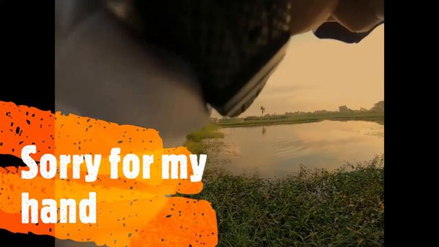 Top Water Strike | Giant Snakehead Fishing #LureBuzzbait #ShoreCasting #Toman #GiantSnakehead смотреть онлайн