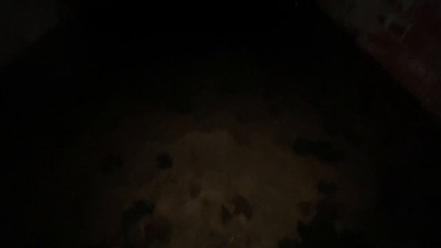 WELS NEMESIS и ТАЙНАЯ КОМНАТА Кёнигсберского Форта "ШТАЙН" смотреть онлайн