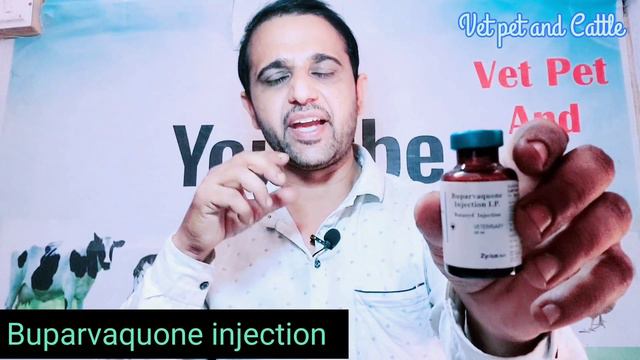 पशुओं के मुंह से लार आना||मुंह फाड़कर सांस लेना||तापमान बहुत बढ़ जाना||का इलाज कैसे करें?Tretment смотреть онлайн