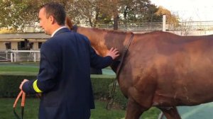 ITV DOMINIQUE BRESSOU - GALOP MARIN