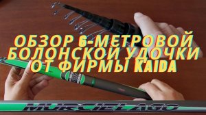 На что годится "Летучая мышь" ? Обзор 6-метровой болонской удочки