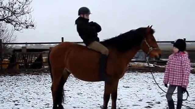 Reimo kõhulihased смотреть онлайн