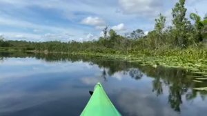 Video of Lake Griffin State Park, FL from Jennifer L.