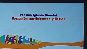 La Sinodalidad de la Iglesia en los diferentes Siglos. Conceptos.