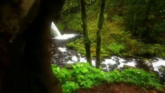 MBA youth ministry Sunday Message смотреть онлайн