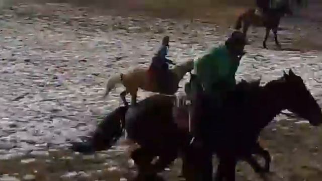 Исфана Дадажон полвон смотреть онлайн